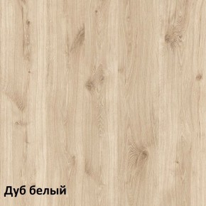 Эйп Шкаф для одежды 13.334 в Югорске - yugorsk.mebel-74.com | фото