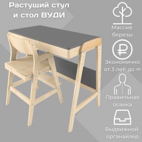 Комплект растущий стол и стул 38 попугаев «Вуди» (Серый, Без покрытия) в Югорске - yugorsk.mebel-74.com | фото