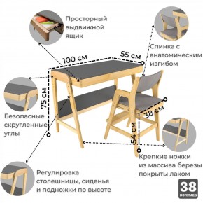 Комплект растущий стол и стул с чехлом 38 попугаев «Вуди» (Серый, Береза, Серый) в Югорске - yugorsk.mebel-74.com | фото