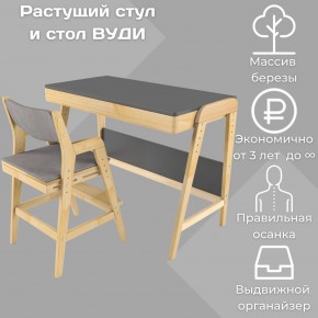 Комплект растущий стол и стул с чехлом 38 попугаев «Вуди» (Серый, Без покрытия, Серый) в Югорске - yugorsk.mebel-74.com | фото
