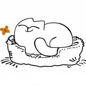 Кровать двухуровневая Кот № 900.1 ЛЕВАЯ (туя светлая/белый) в Югорске - yugorsk.mebel-74.com | фото