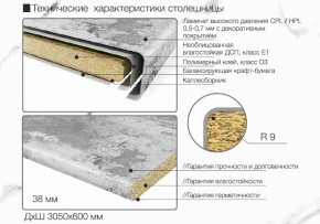 Кухонный фартук со столешницей (А-04) в едином стиле (3050 мм) в Югорске - yugorsk.mebel-74.com | фото