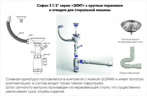 Мойка кухонная ULGRAN U-101 (500) в Югорске - yugorsk.mebel-74.com | фото