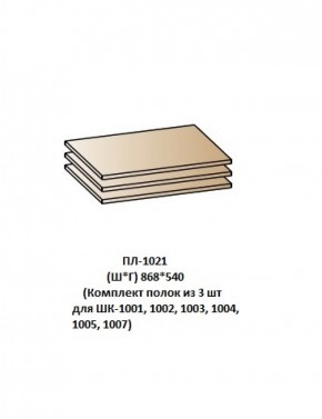ПЛ-1021 (Комплект полок из 3 шт для ШК-1001, 1002, 1003, 1004, 1005, 1007) в Югорске - yugorsk.mebel-74.com | фото
