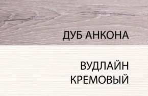 Шкаф 1DW, OLIVIA, цвет вудлайн крем/дуб анкона в Югорске - yugorsk.mebel-74.com | фото