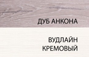 Шкаф 2DG, OLIVIA, цвет вудлайн крем/дуб анкона в Югорске - yugorsk.mebel-74.com | фото