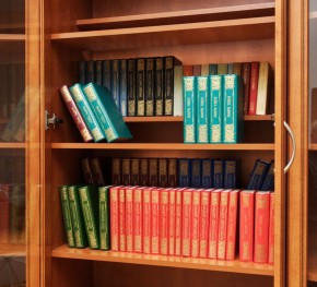 Шкаф для книг арт. 200 в Югорске - yugorsk.mebel-74.com | фото