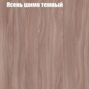 Шкаф-купе «ТАНДЕМ» 2-х дверный в алюминиевом профиле (Дверь ЛДСП+ЛДСП) 1800/h2200 в Югорске - yugorsk.mebel-74.com | фото
