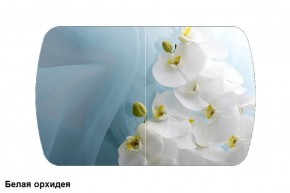 Стол Бостон 2 (1100*700) опоры Брифинг (Стекло/фотопечать Белая орхидея) в Югорске - yugorsk.mebel-74.com | фото