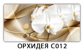Стол раздвижной Трилогия с фотопечатью Орхидея C013 в Югорске - yugorsk.mebel-74.com | фото